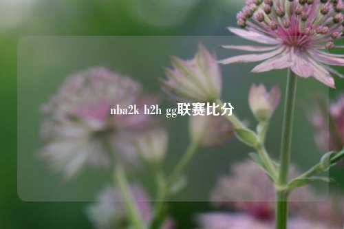 nba2k h2h gg联赛比分