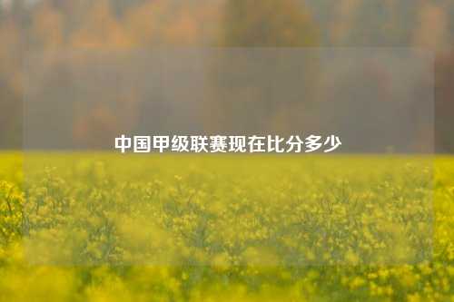 中国甲级联赛现在比分多少