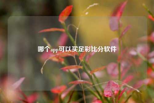 哪个app可以买足彩比分软件