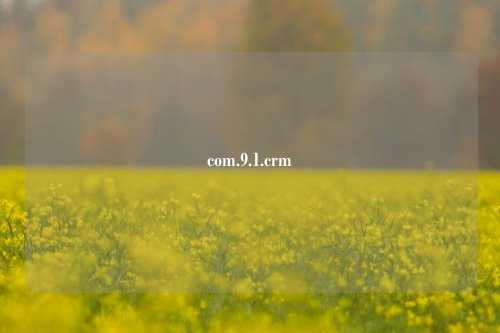 com.9.1.crm