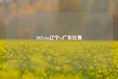 2021cba辽宁vs广东比赛