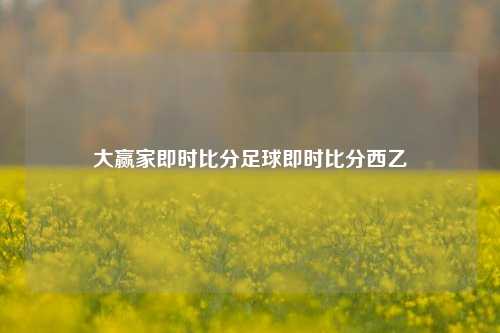 大赢家即时比分足球即时比分西乙