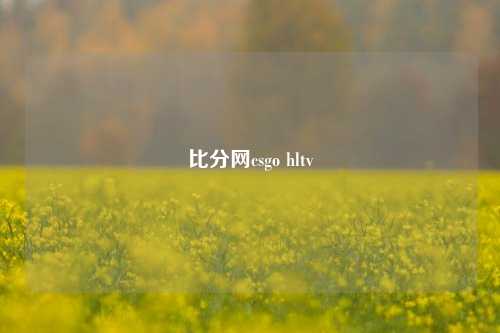 比分网csgo hltv