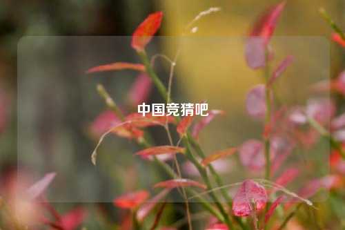 中国竞猜吧