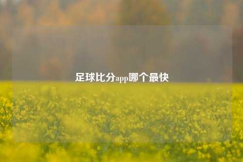 足球比分app哪个最快