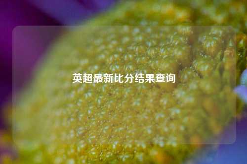 英超最新比分结果查询