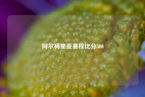 阿尔梅里亚赛程比分500