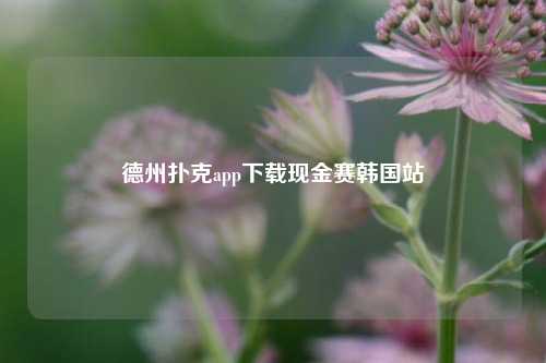 德州扑克app下载现金赛韩国站