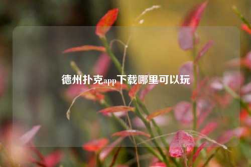 德州扑克app下载哪里可以玩