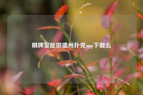 棋牌室能做德州扑克app下载么