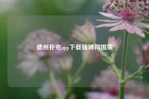 德州扑克app下载赌博闫国荣