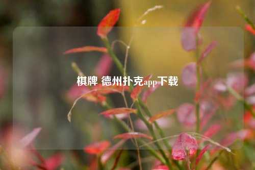 棋牌 德州扑克app下载