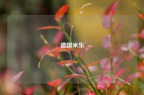 德国米乐